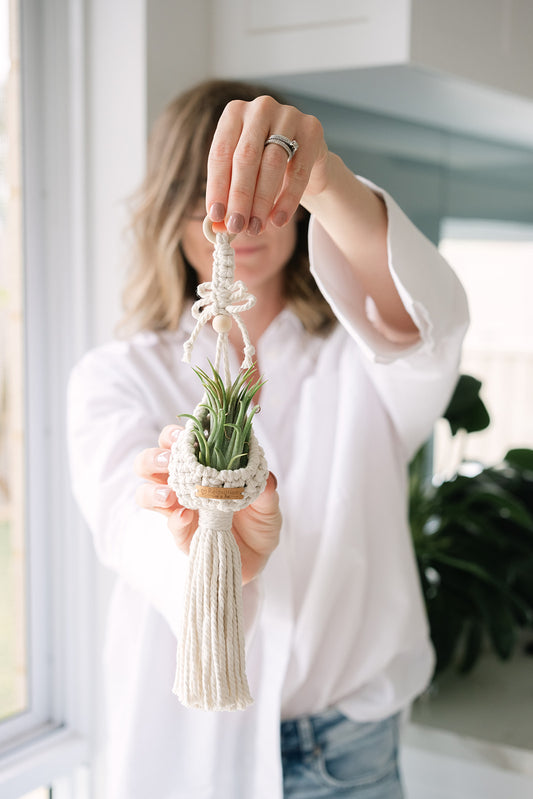 Emma Air Plant Pod