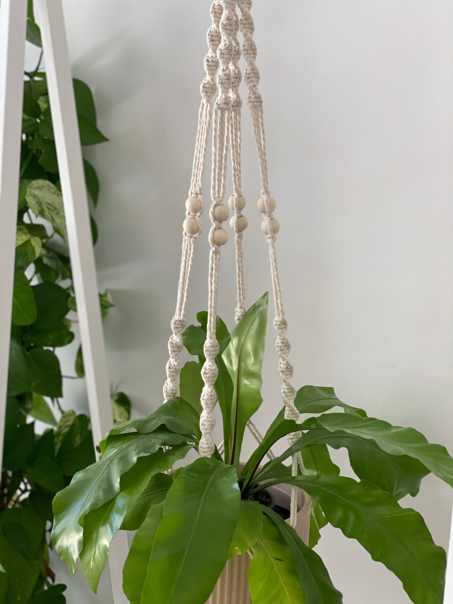 Rosalie-Bead Plant Hanger