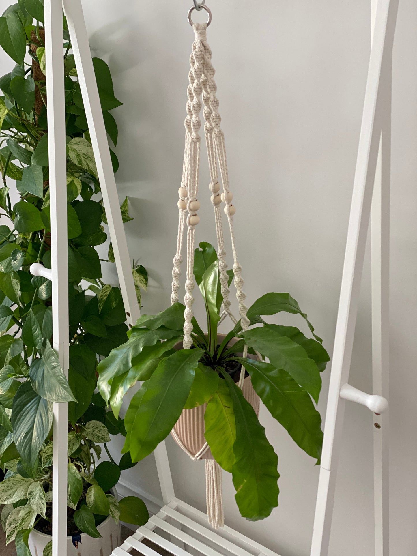 Rosalie-Bead Plant Hanger