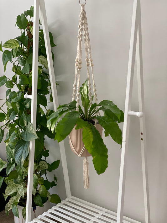 Rosalie-Bead Plant Hanger