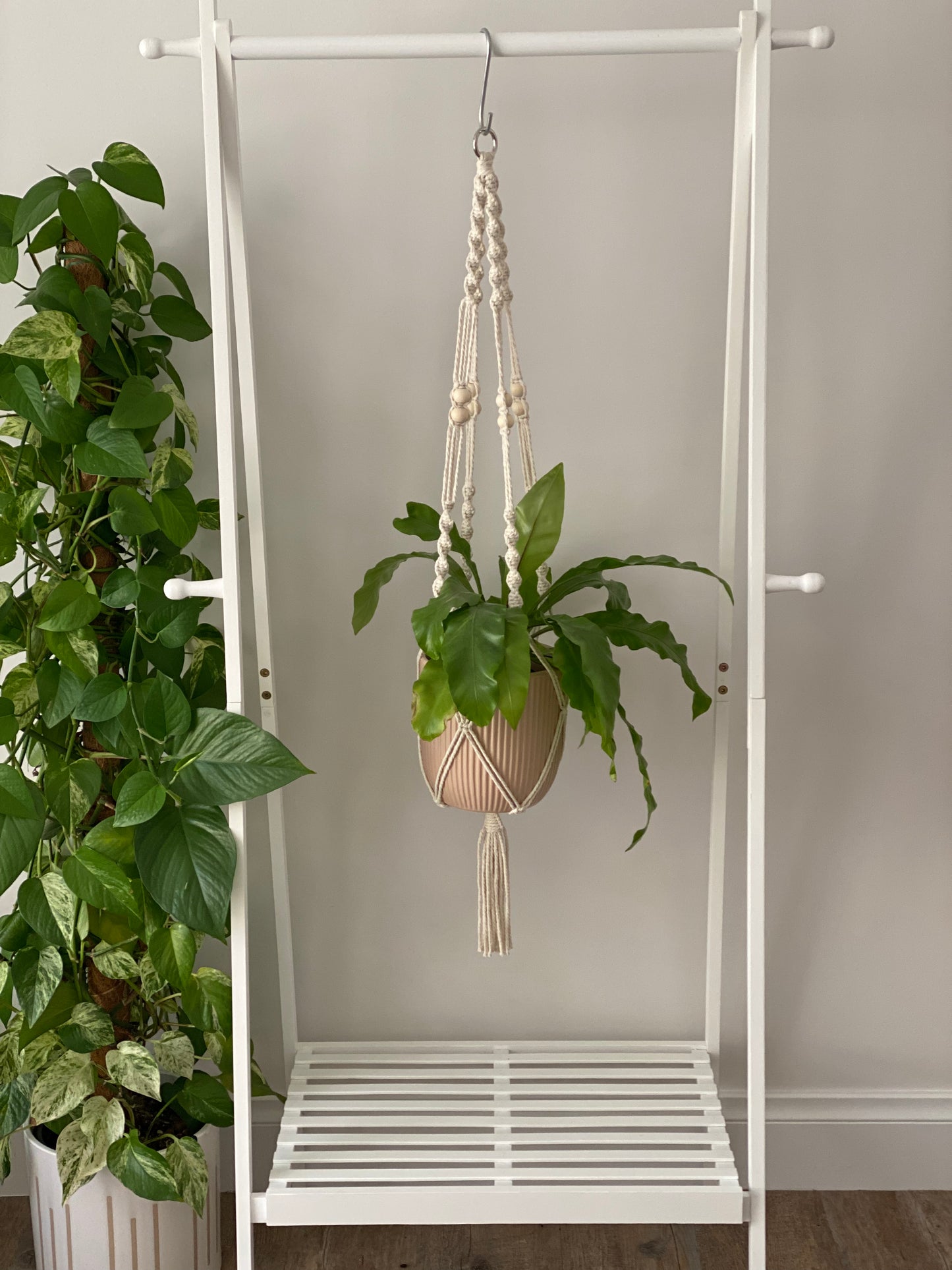 Rosalie-Bead Plant Hanger