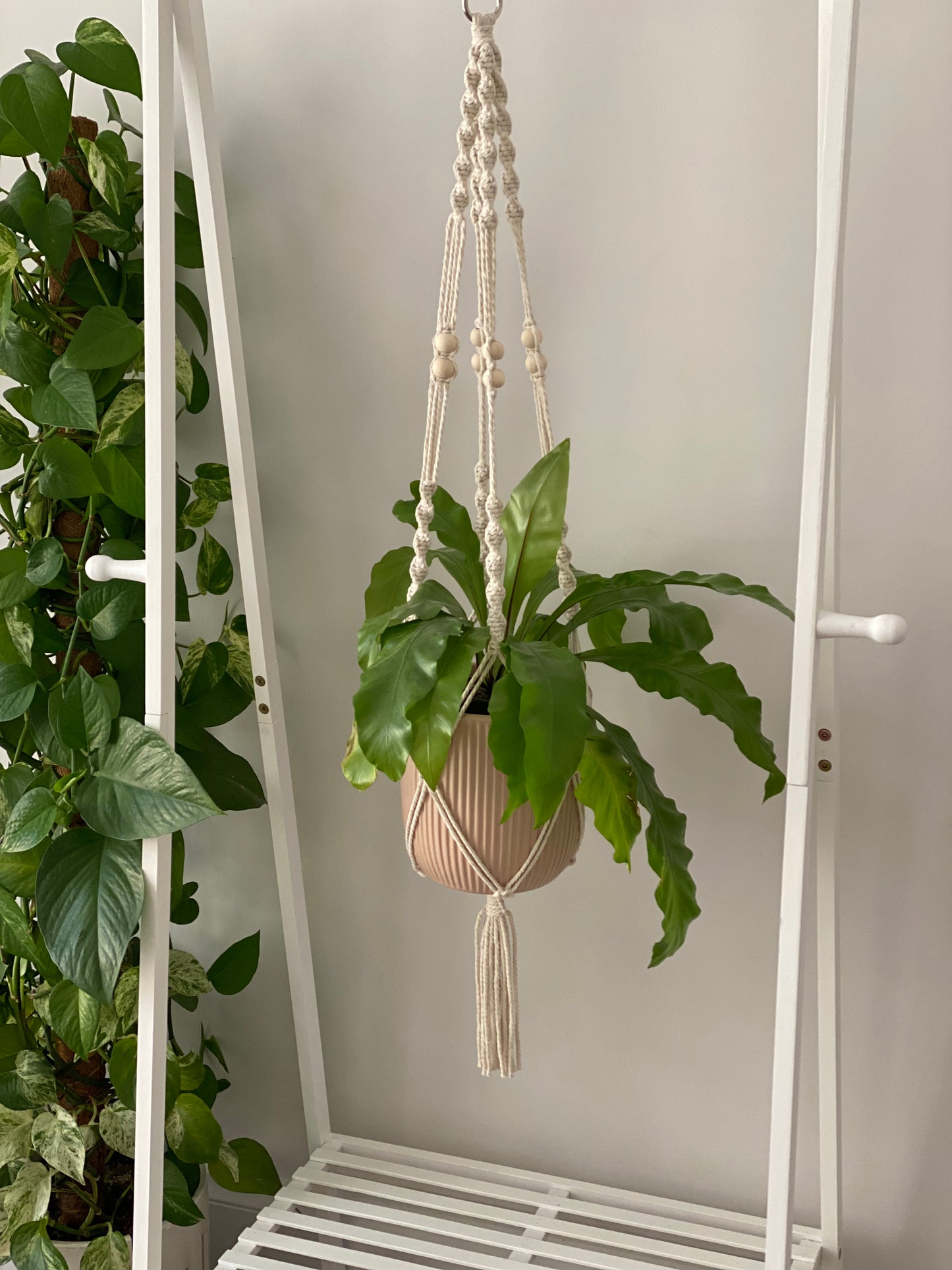 Rosalie-Bead Plant Hanger